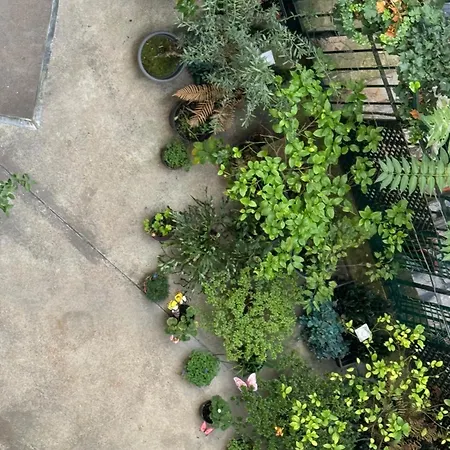 Beautiful Nearby Champs Elysees Apartment