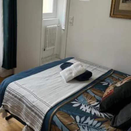 Beautiful Nearby Champs Elysees Apartment *
